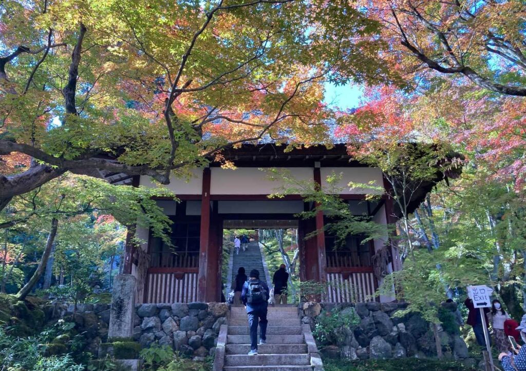 嵐山散歩｜Found Japan（ファウンドジャパン）