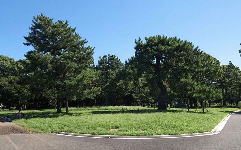 代々木公園｜Found Japan（ファウンドジャパン）