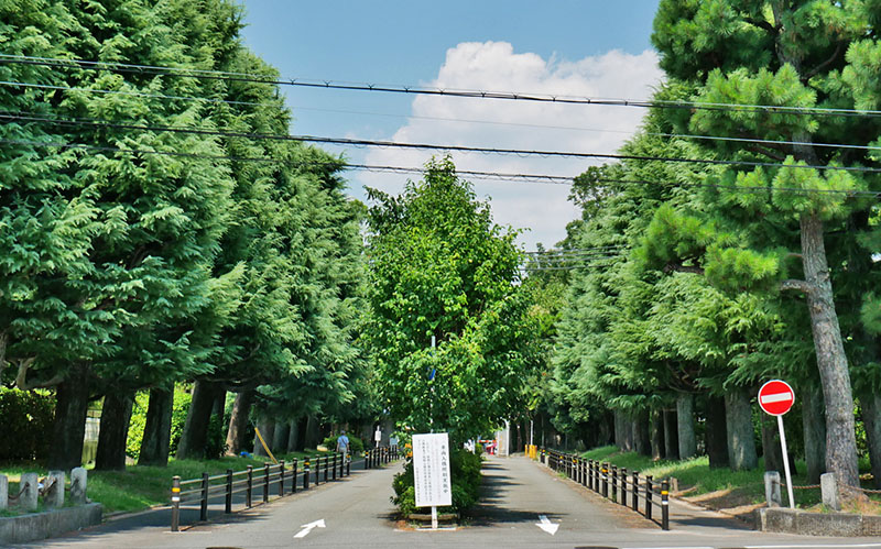 京都・今出川～吉田地区 歴史と学生の街を散歩｜Found Japan(ファウンドジャパン)