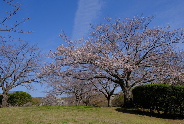 秋元城跡_foundJapan