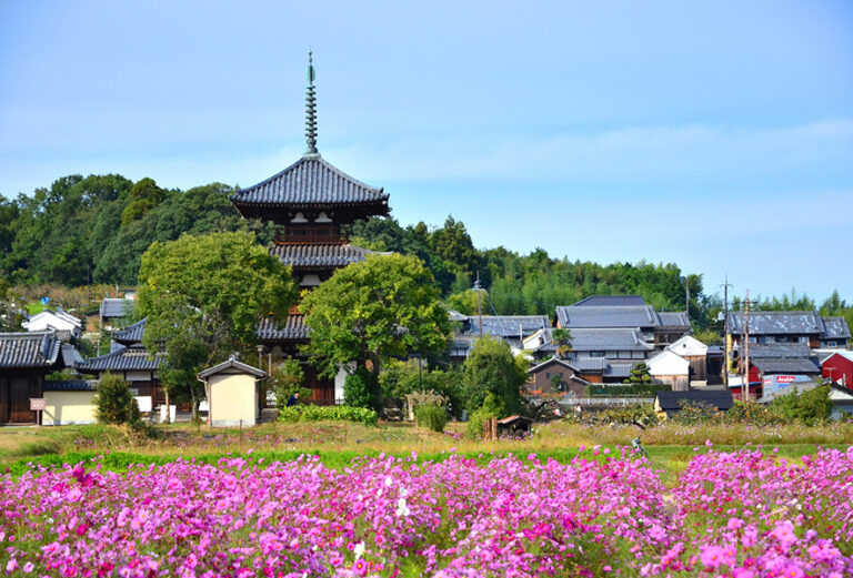 法隆寺｜Found Japan(ファウンドジャパン)