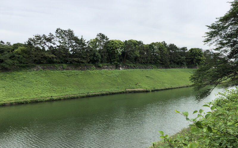 chidorigafuchi_24 千鳥ヶ淵_FoundJapan