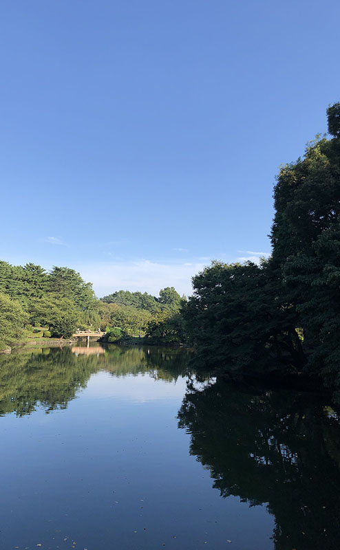 新宿御苑 | foundJapan