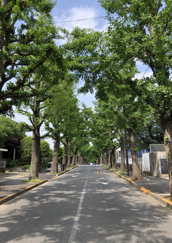 denenchofu_3 田園調布_foundjapan