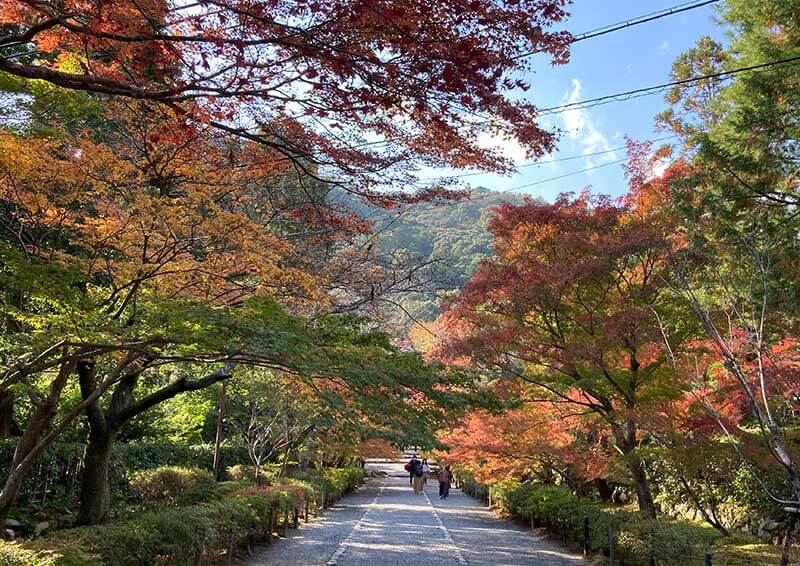 嵐山さんぽ｜Found Japan
