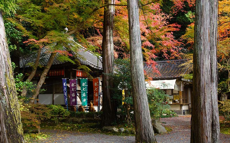 FOUND JAPAN_kyoto赤山禅院