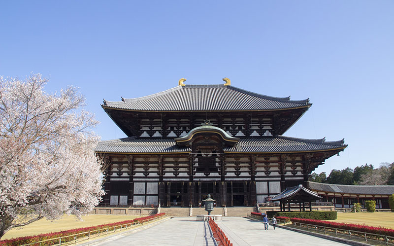 Todaiji Temple | Found Japan