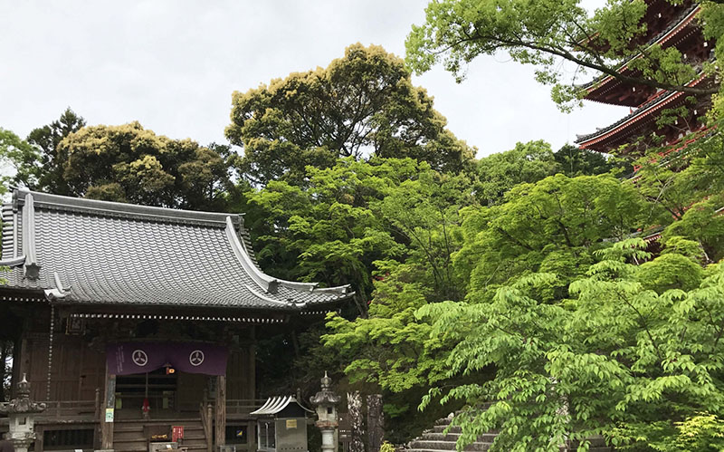 Chikurinji Temple | Found Japan