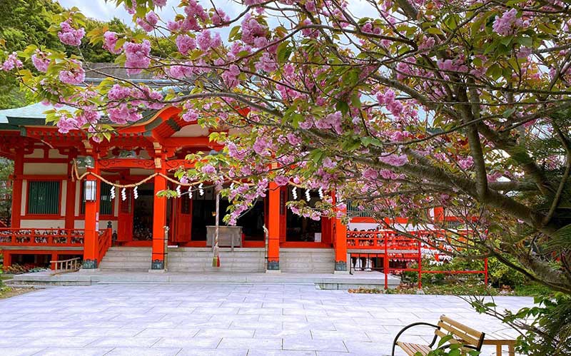 Awashima jinjya Shrin | Found Japan