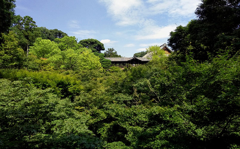 Tofukuji Temple | Found Japan