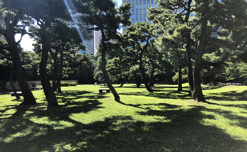  Hamarikyu Gardens｜Found Japan