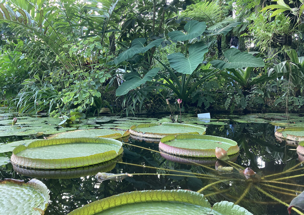 Shinjuku Gyoen | Found Japan