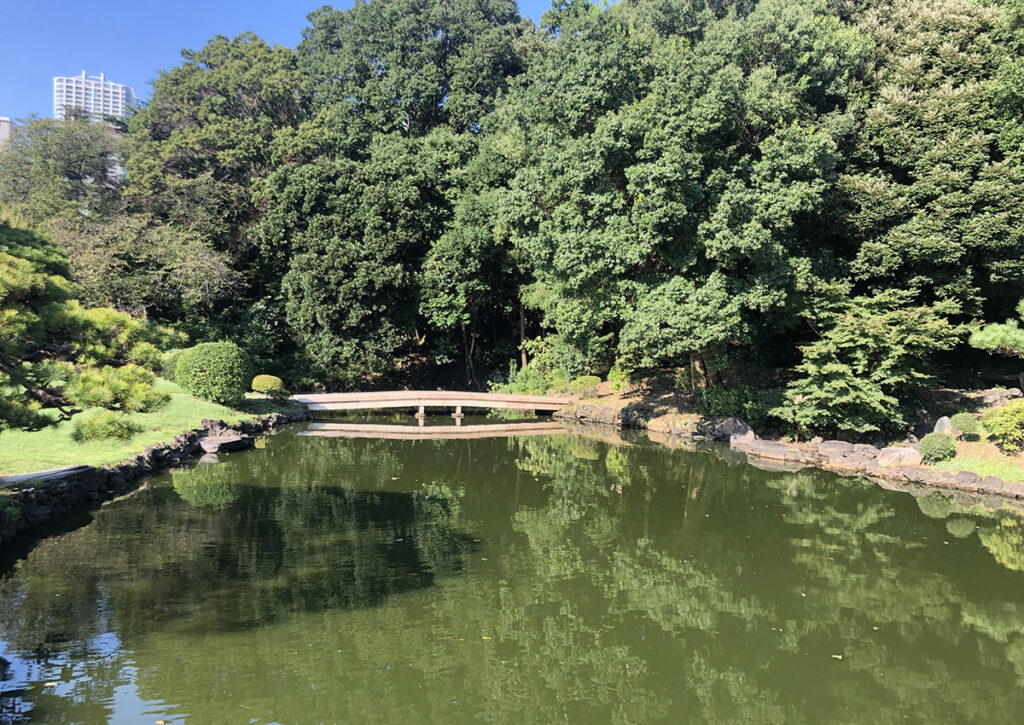 Shinjuku Gyoen | Found Japan