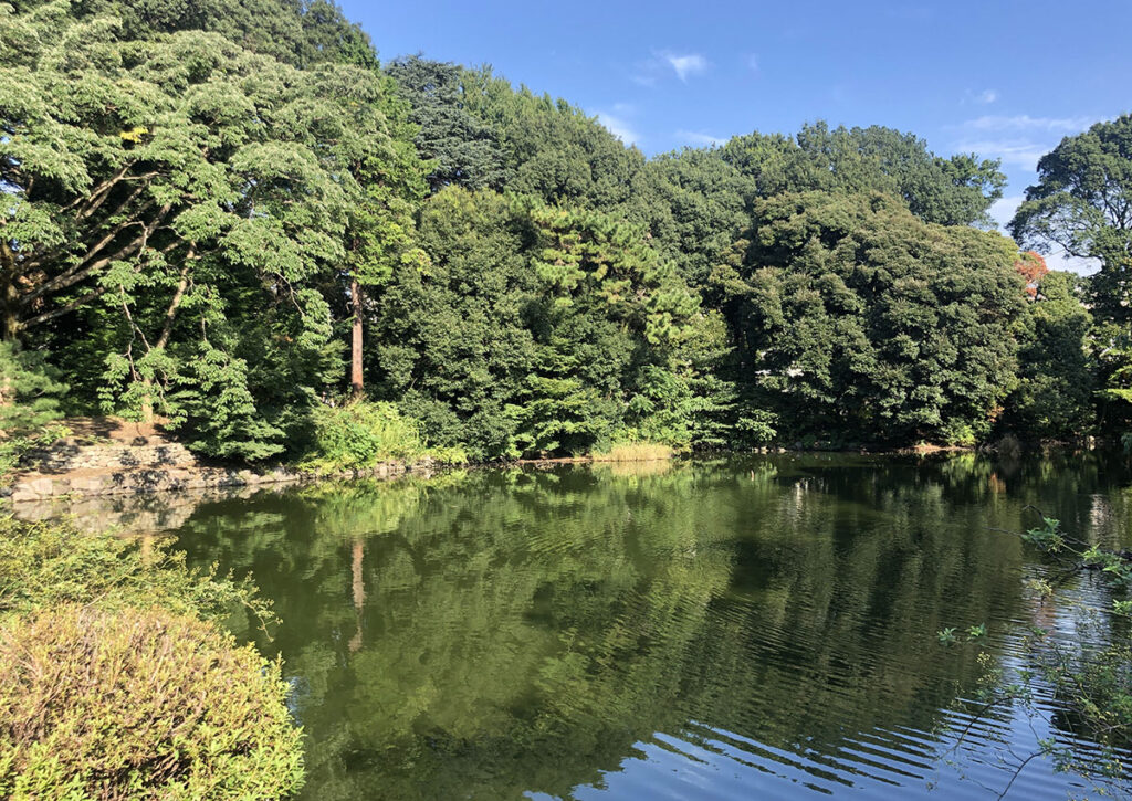 Shinjuku Gyoen | Found Japan