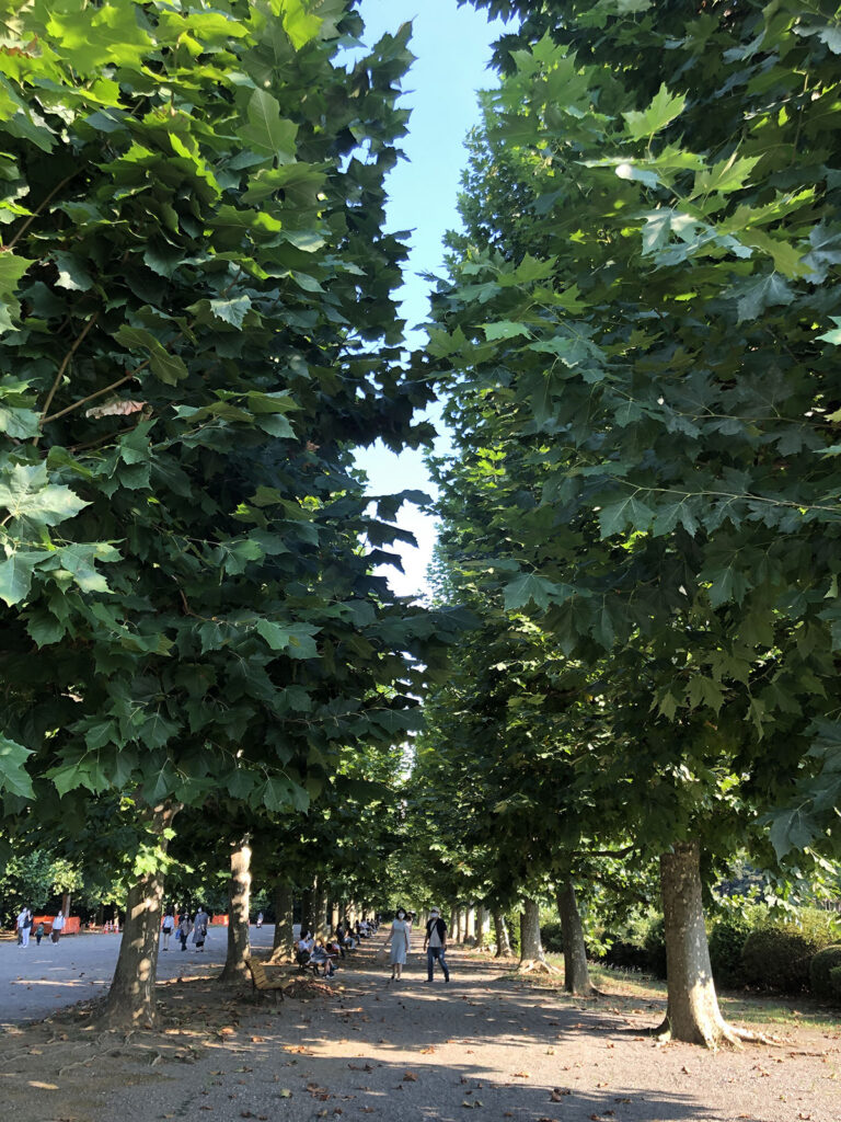 Shinjuku Gyoen | Found Japan