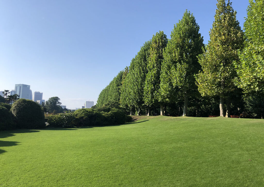 Shinjuku Gyoen | Found Japan