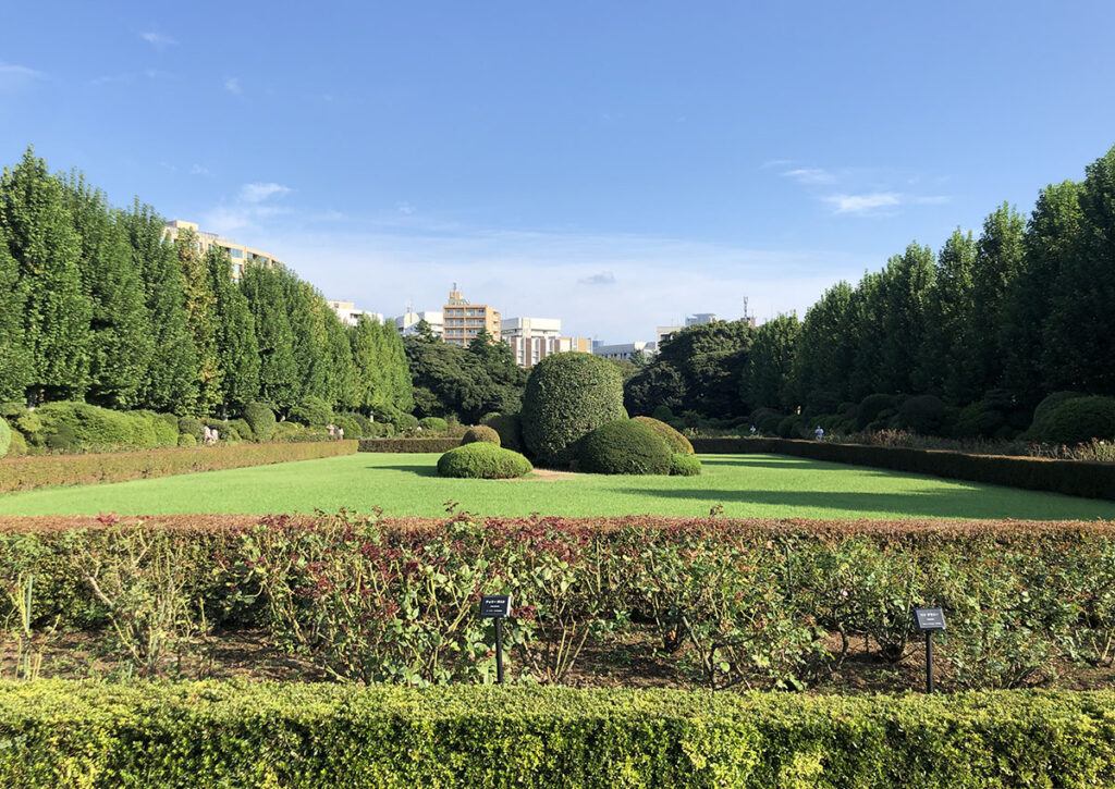 Shinjuku Gyoen | Found Japan