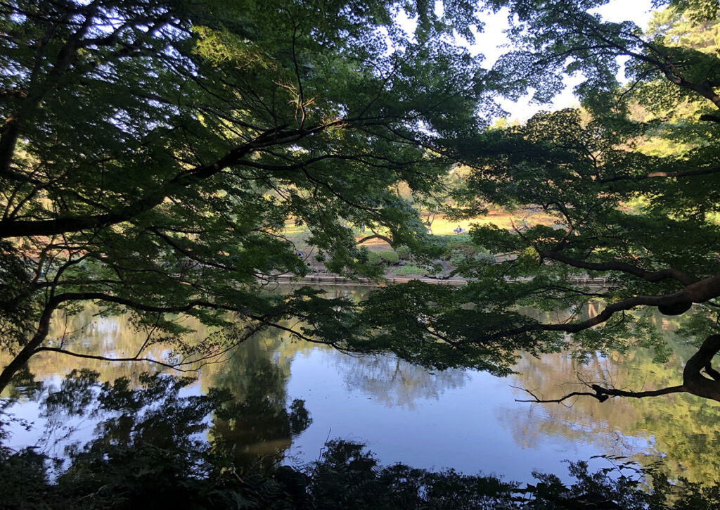 Shinjuku Gyoen | Found Japan