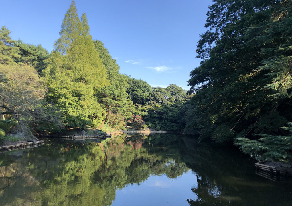 Shinjuku Gyoen | Found Japan