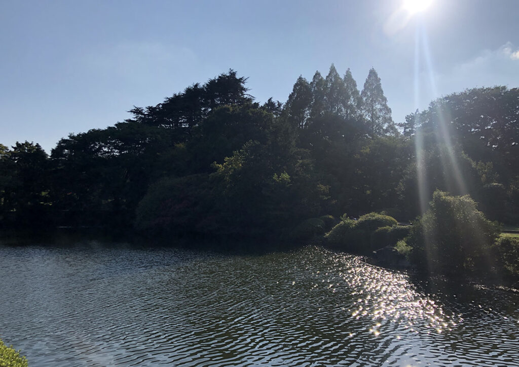 Shinjuku Gyoen | Found Japan