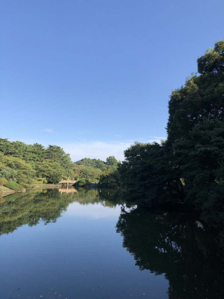 Shinjuku Gyoen | Found Japan