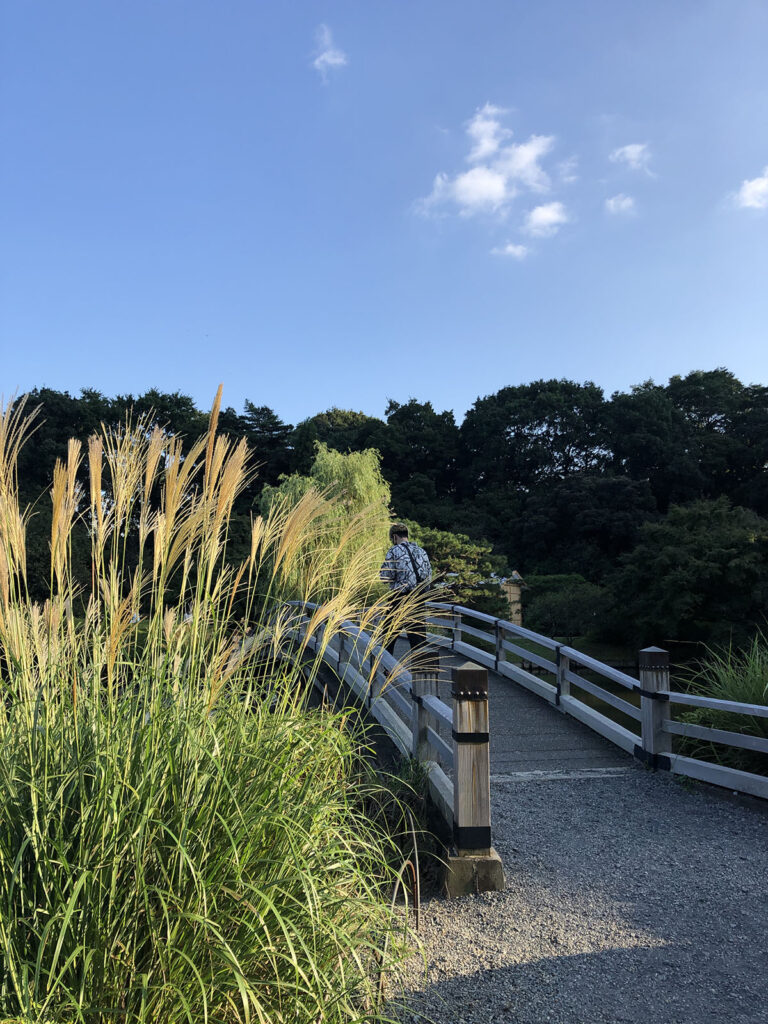 Shinjuku Gyoen | Found Japan