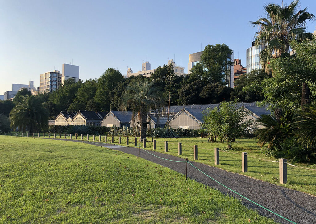 Shinjuku Gyoen | Found Japan