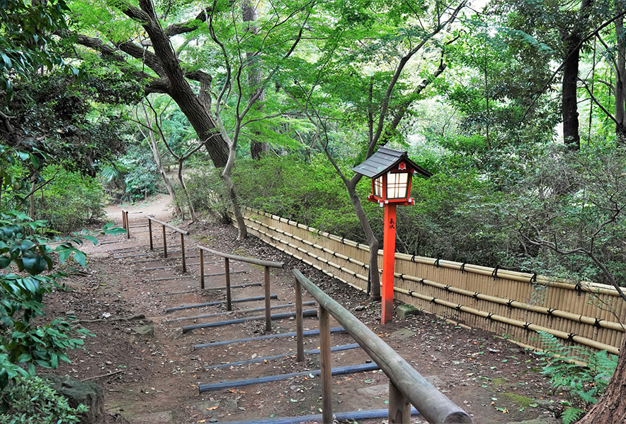 Todoroki Valley | Found Japan