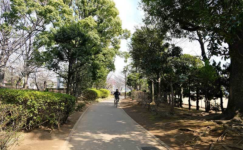 Haneda Stroll | Found Japan
