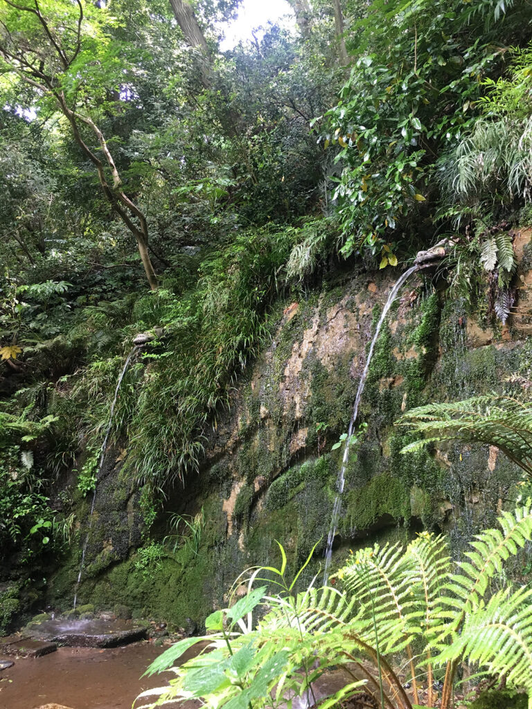 Todoroki Valley | Found Japan