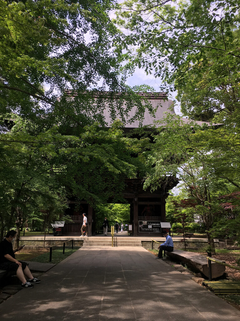 Todoroki Valley | Found Japan