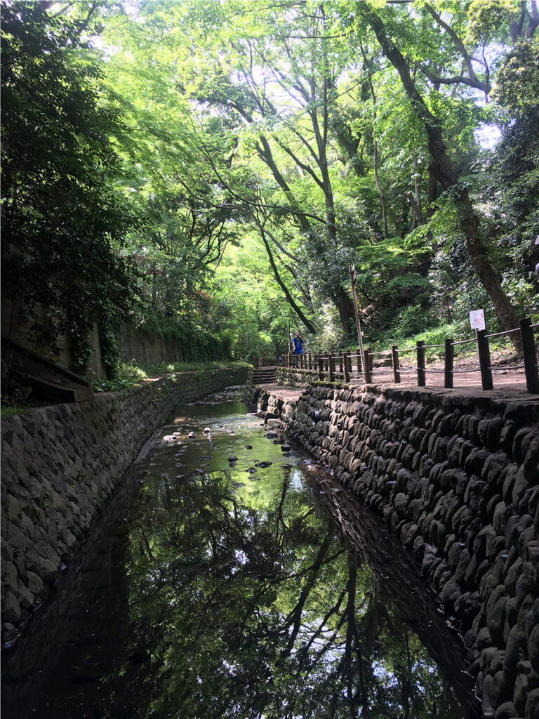 Todoroki Valley | Found Japan