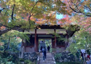 kyoto_arashiyama｜DIGITALMESSE.COM