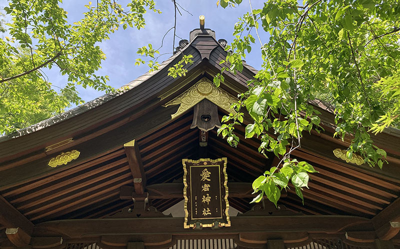 Atago Jinja Shrine | Found Japan