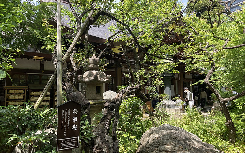 Atago Jinja Shrine | Found Japan