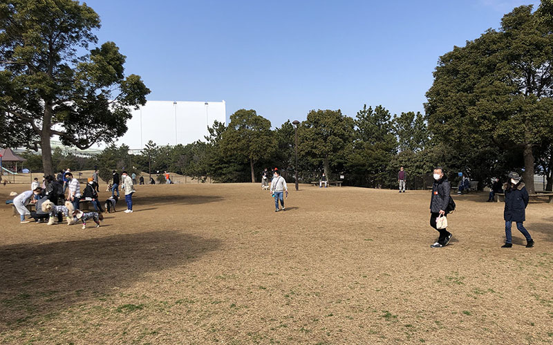 Jonanjima Seaside Park | Found Japan