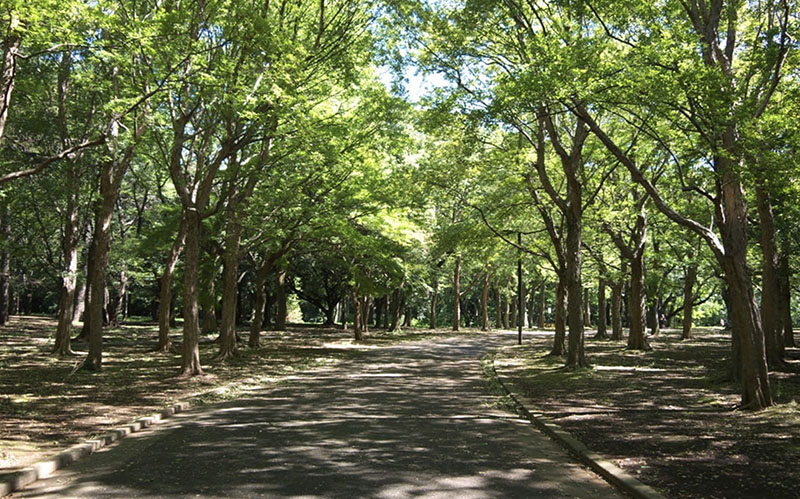 Yoyogi Park | Found Japan